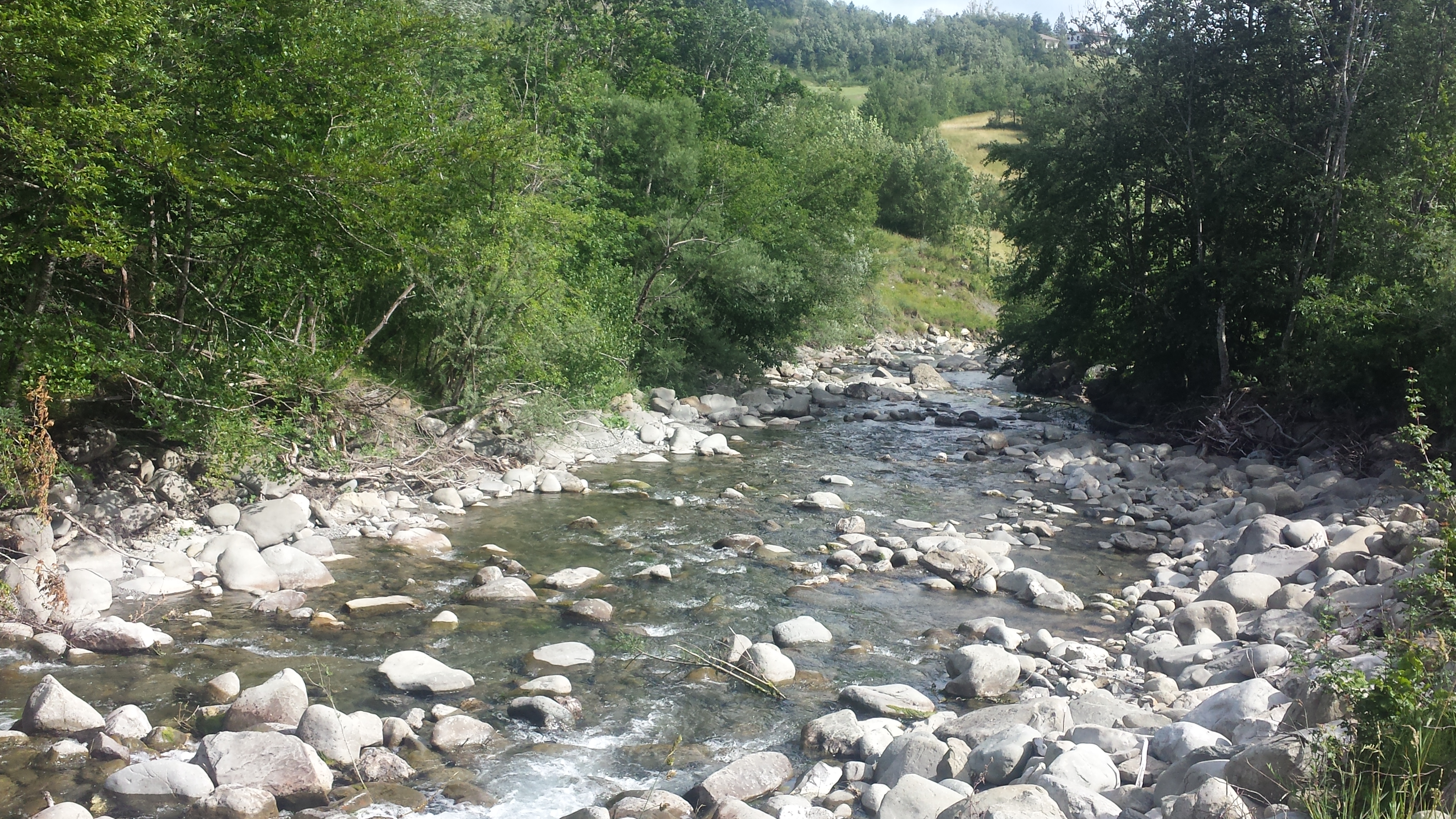 Torrente