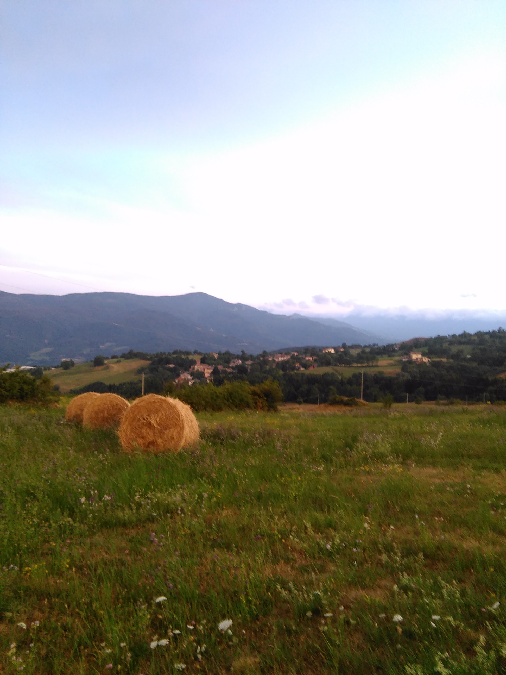 Prati
